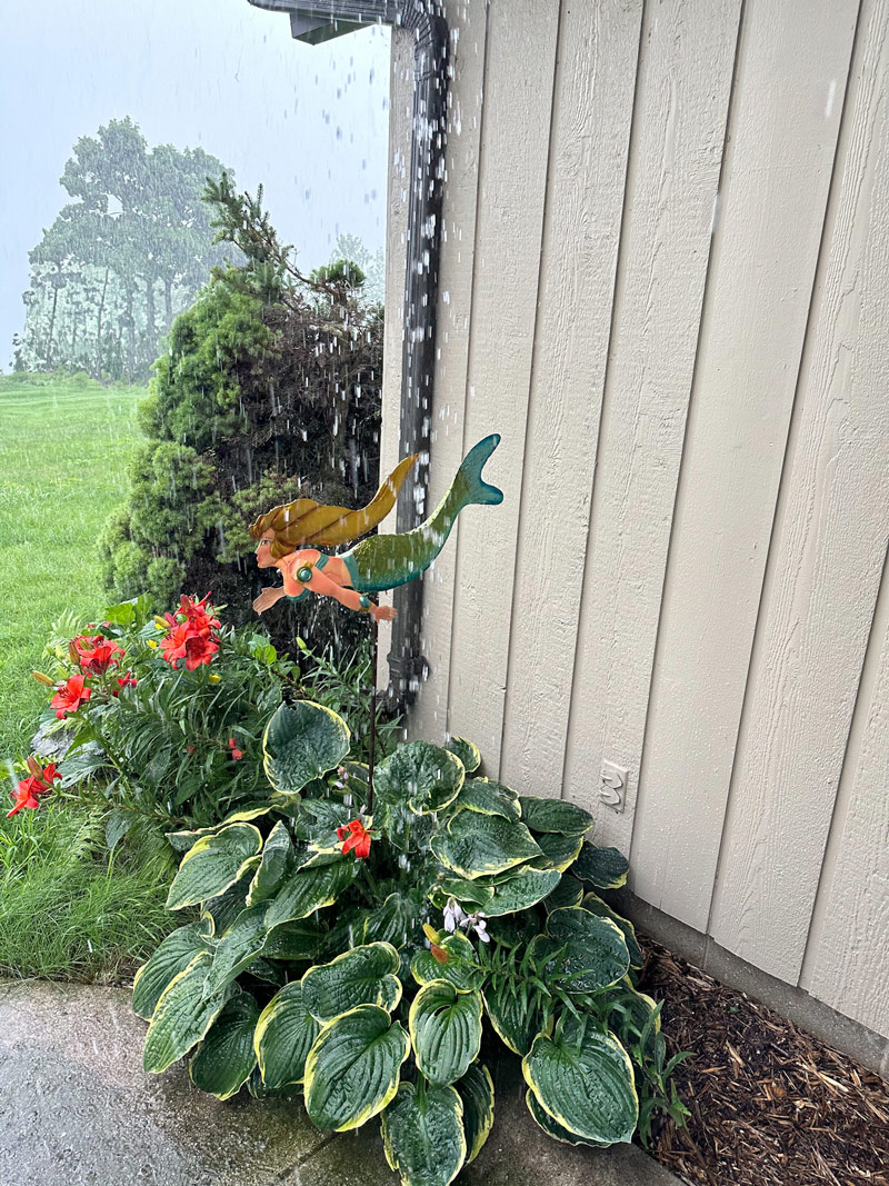 Bed & Breakfast entrance with mermaid in the rain